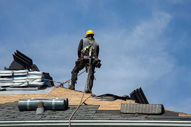 Professional Storm Damage Roof Repair technician working in Alva, FL